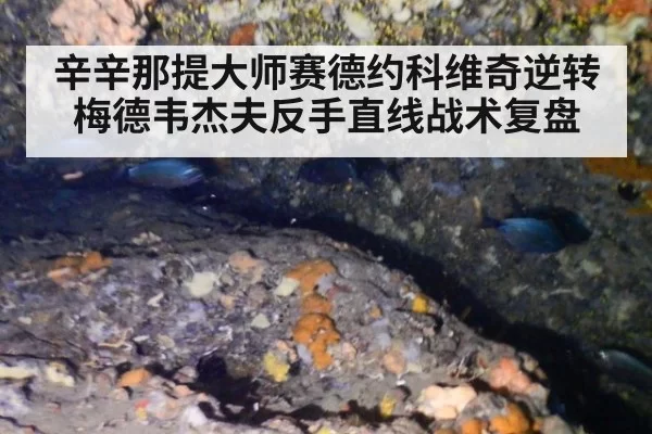 辛辛那提大师赛德约科维奇逆转梅德韦杰夫反手直线战术复盘