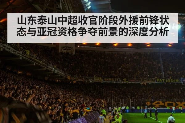football stadium night crowd